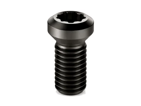 TORX PLUS内梅花圆柱头螺丝