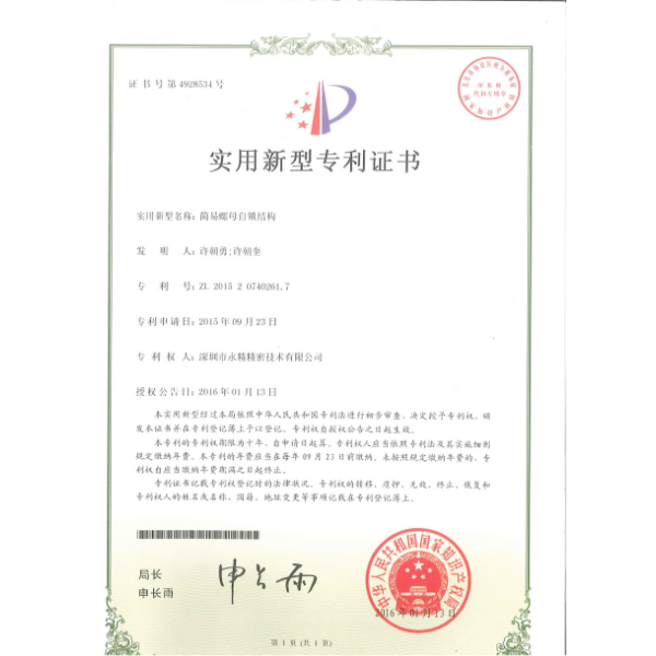 简易螺丝自锁结构专利