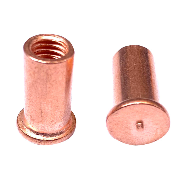 阳江引进一浦莱斯智造基地