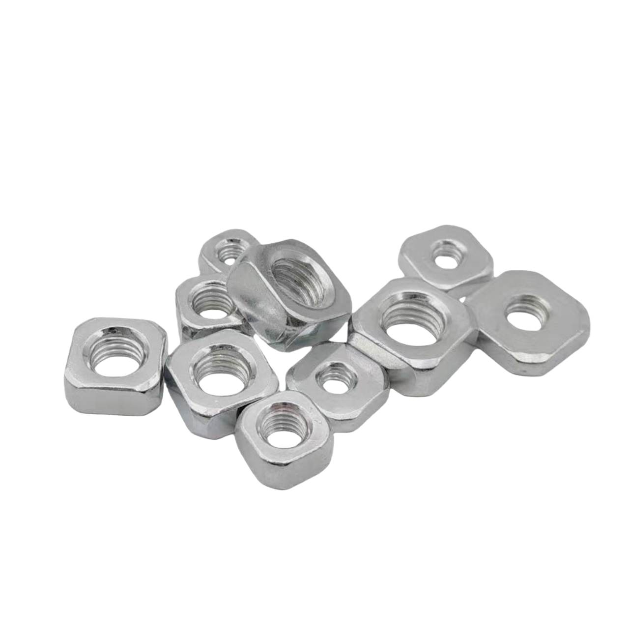 海大师生访柏中广东实践纪实