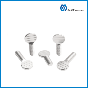 永精不锈钢镀锌球拍螺钉