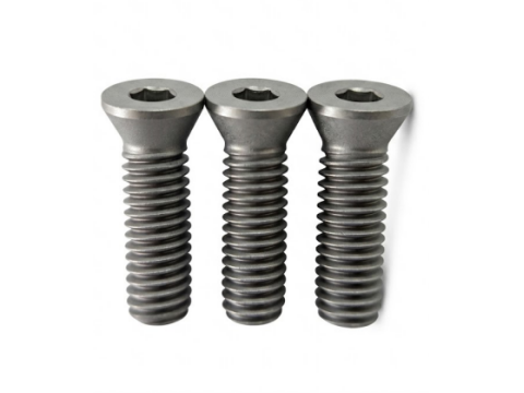 TORX® T25 刀具螺丝 | M6×20 细牙（牙距 1.0）12.9 级
