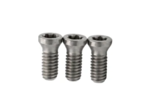 TORX PLUS 8IP 刀具螺丝 | 